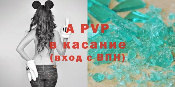 стафф Алексин